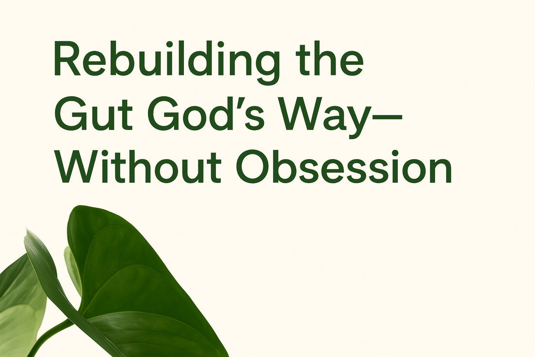 Rebuilding the Gut God’s Way – Without Obsession